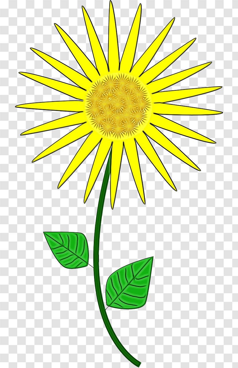 Drawing Of Family - Wet Ink - Daisy Dandelion Transparent PNG