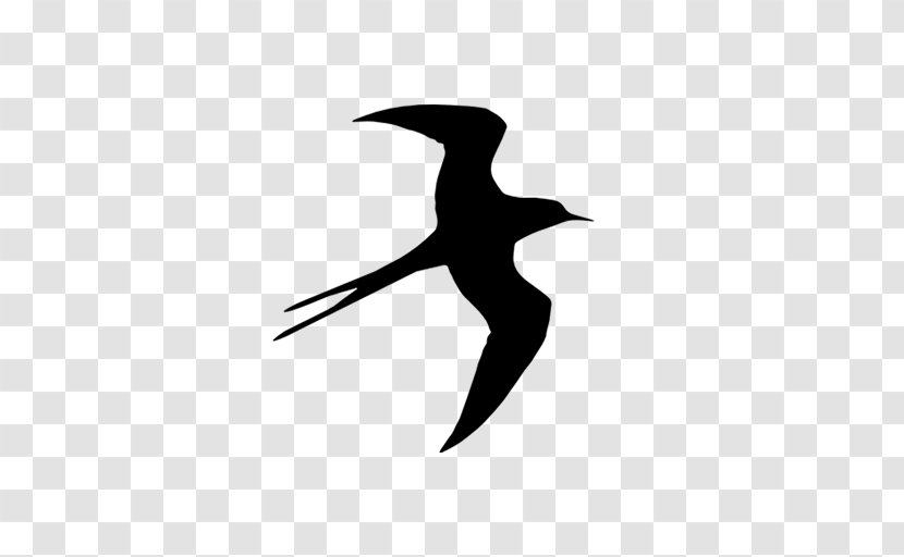 Bird Barn Swallow Freee K.K. Beak - To Transparent PNG