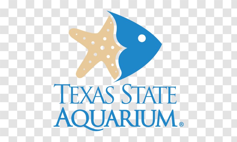 Texas State Aquarium South Public Coastal Bend The Madrid Zoo - Dolphin - Corpus Christi College Boat Club Transparent PNG