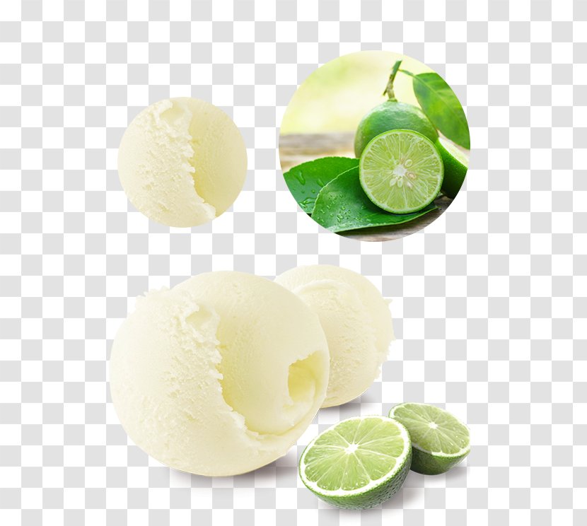 Lemon-lime Drink Key Lime Peruvian Cuisine Vegetarian - Citrus Transparent PNG
