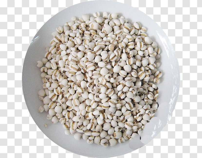 Adlay Congee Patjuk Adzuki Bean Moisture - Lotus Seed - Chinese Medicine Barley Rice Transparent PNG
