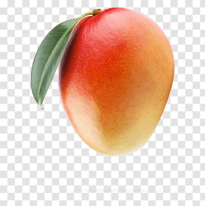 Mango Food Juice Avocado Fruit - Apricot Transparent PNG