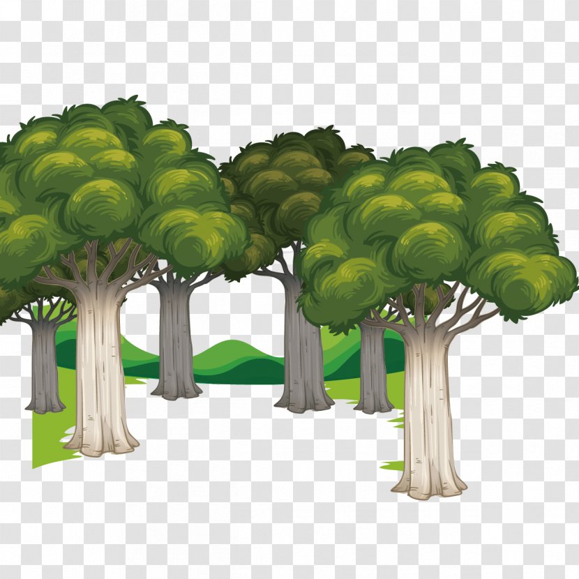 Euclidean Vector Forest - Tree Transparent PNG