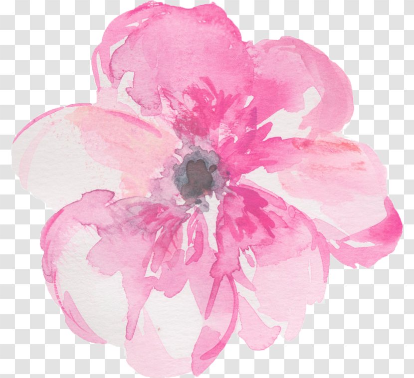 Watercolor Floral Background - Flower - Wildflower Cut Flowers Transparent PNG