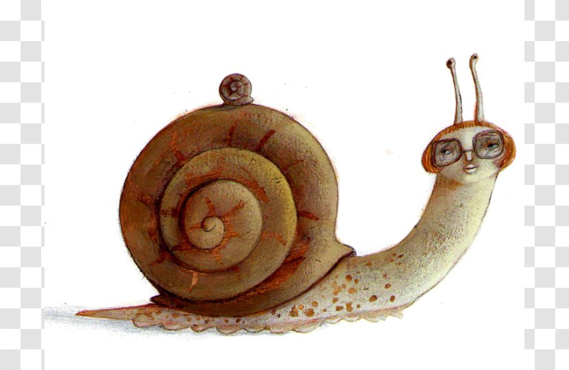 Land Snail Escargot Sea Art - Drawing Transparent PNG
