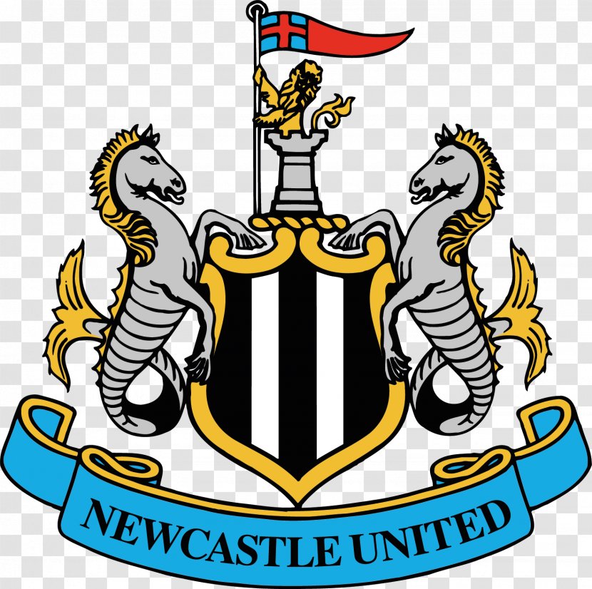 St James' Park Newcastle United F.C. Premier League Liverpool Southampton - Fa Cup Transparent PNG