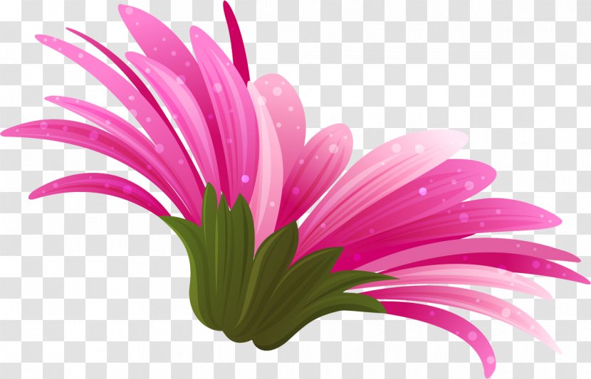 Pink Transvaal Daisy Color Clip Art - Flower Transparent PNG