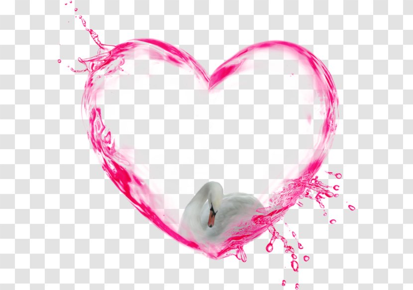 Water Clip Art - Magenta Transparent PNG