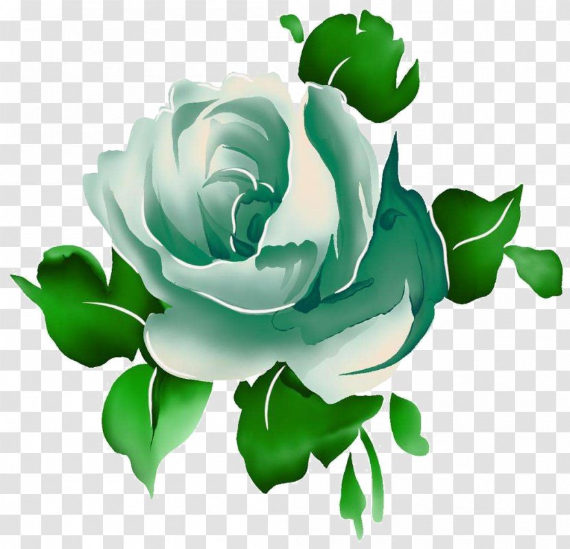 Beach Rose Green Blue Illustration - Petal - Flowers Transparent PNG