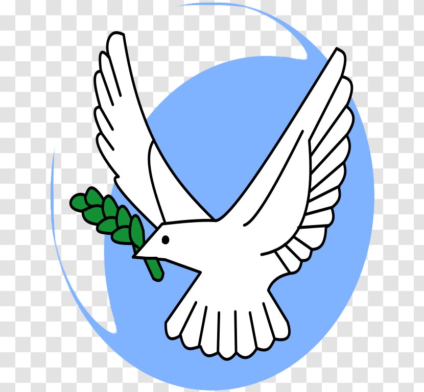 Olive Branch Petition Columbidae Symbol - Line Art - Picture Of Dove With Transparent PNG