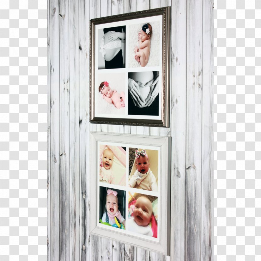 Picture Frames Window Photography Collage - Photomontage Transparent PNG