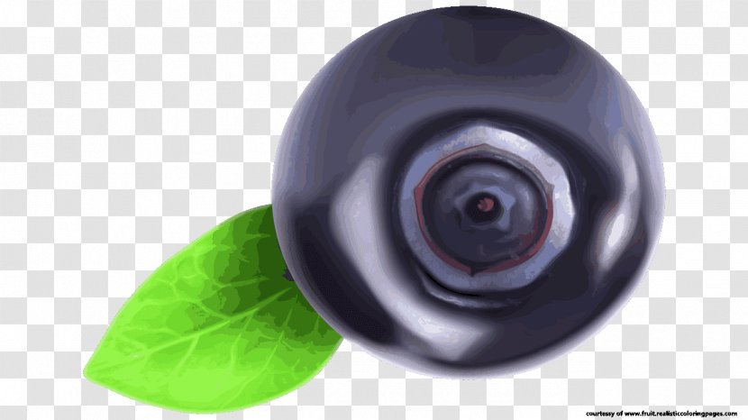 Blueberry Fruit Ugni Clip Art - Wheel Transparent PNG