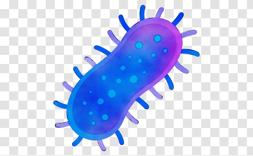 Severe Acute Respiratory Syndrome Coronavirus 2 Coronavirus Virus Infection Coronavirus Disease 2019 Transparent PNG