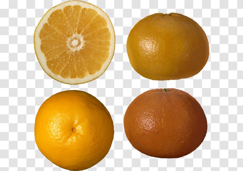 Clementine Grapefruit Tangerine Tangelo Sweet Lemon Transparent PNG