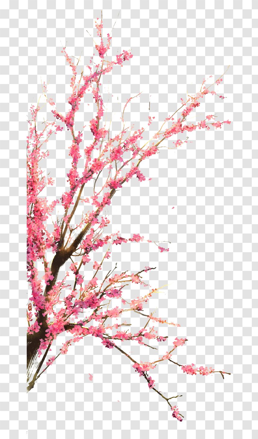 Cherry Garden Trees - Blossom - Flower Transparent PNG