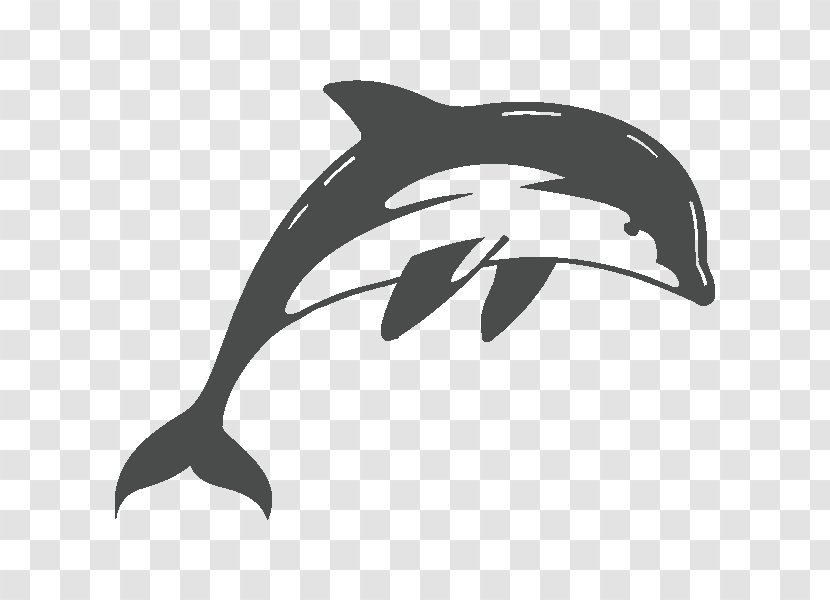 Short-beaked Common Dolphin Wall Decal - Killer Whale Transparent PNG