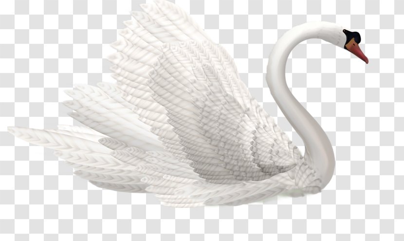 Cygnini Clip Art - Swan Transparent PNG