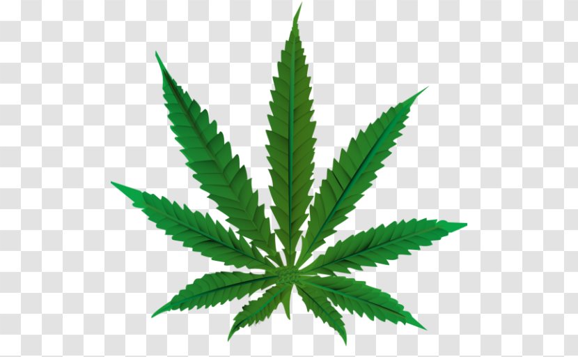 Medical Cannabis Smoking Recreational Drug Use Transparent PNG