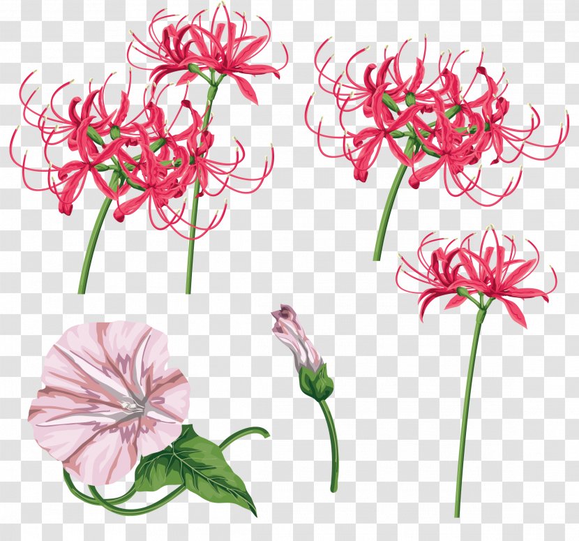 Floral Design Cut Flowers Plant Stem Clip Art - Flower Transparent PNG
