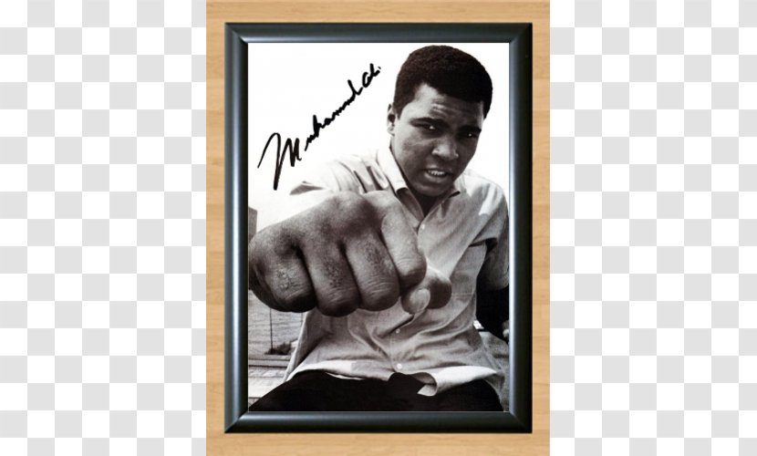 Muhammad Ali Boxing Apple Heavyweight Athlete - Floyd Patterson Transparent PNG