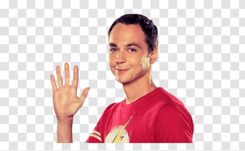 Sheldon Cooper Sticker Telegram Borat Sagdiyev - Su - Sign Language Transparent PNG