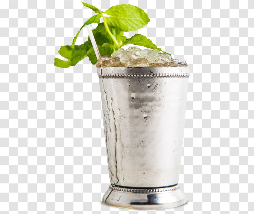 Mint Julep Cocktail Garnish Gin Bourbon Whiskey - Irish Cream Transparent PNG