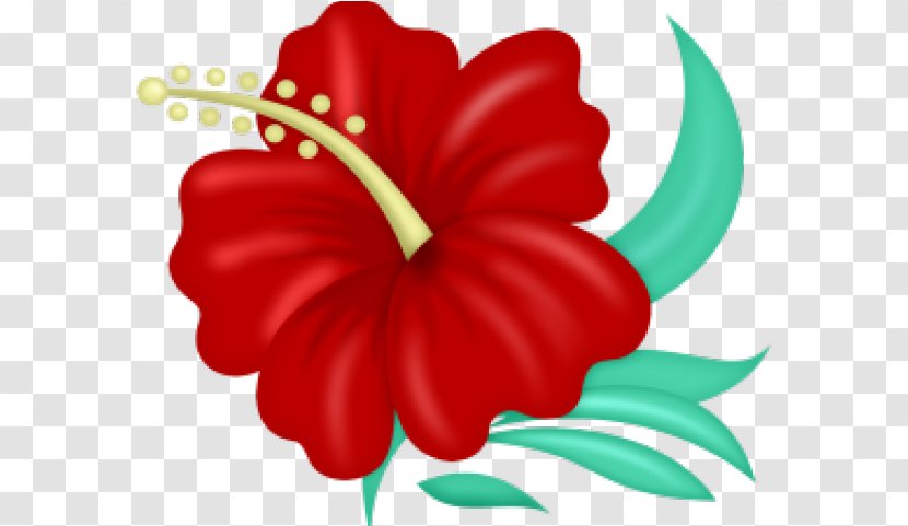 Drawing Of Family - Hibiscus - Herbaceous Plant Mallow Transparent PNG