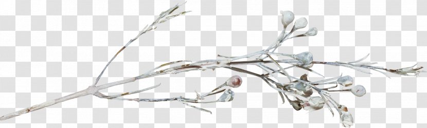 Tree Branch Snow Winter Twig - Wing Transparent PNG