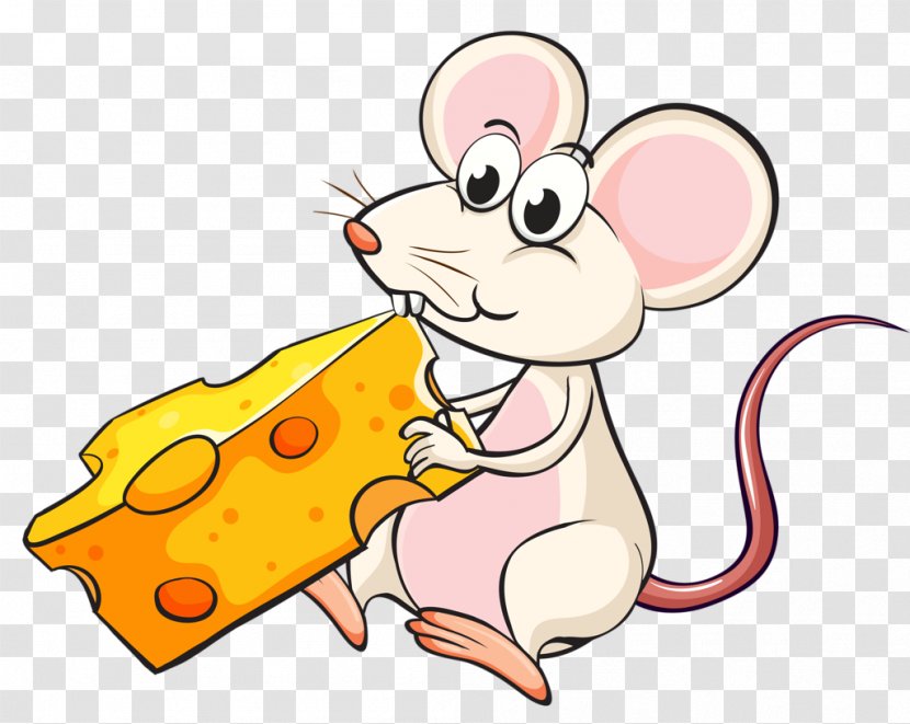 Mouse Rat Stock Photography Cheese - Flower Transparent PNG