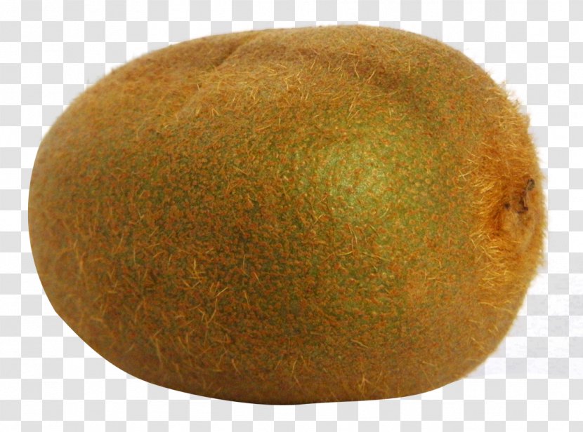 Kiwifruit - Fruit Transparent PNG