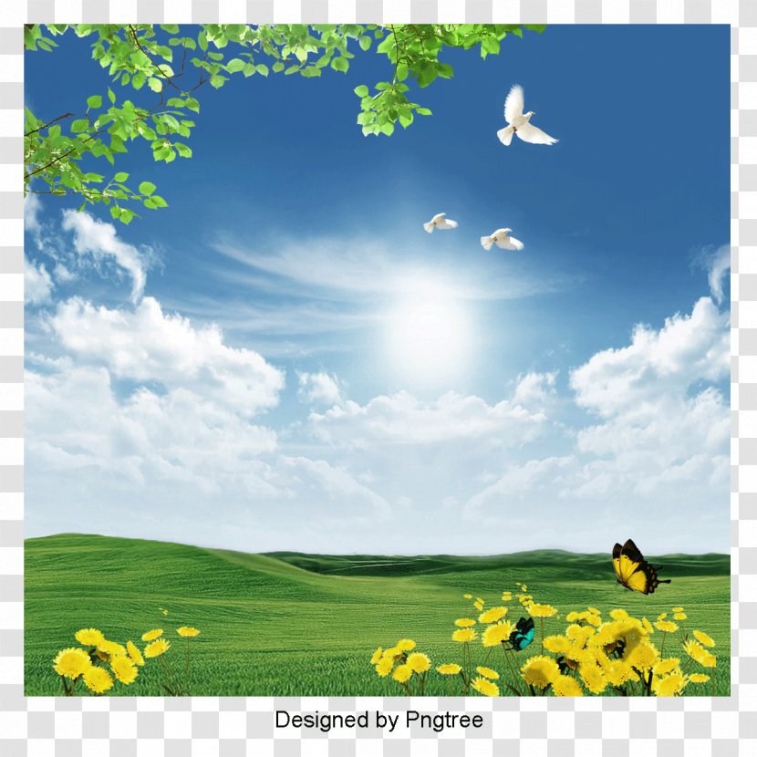 Desktop Wallpaper Image Photograph Display Resolution High-definition Television - Landscape - Spring Sky Psd Files Transparent PNG