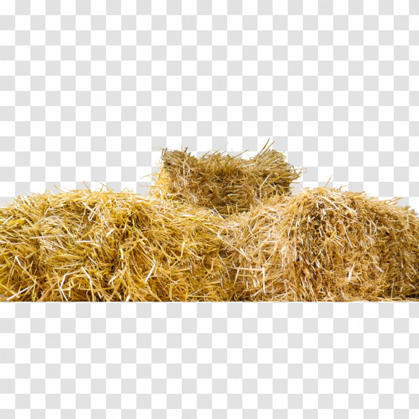 Straw-bale Construction Hay Baler - Straw Bale - Grass Transparent PNG