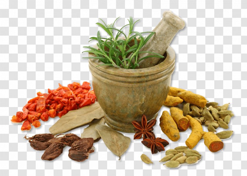 Ayurveda Medicine Therapy Alternative Health Services Herbalism - Vegetable - Herbal Transparent PNG