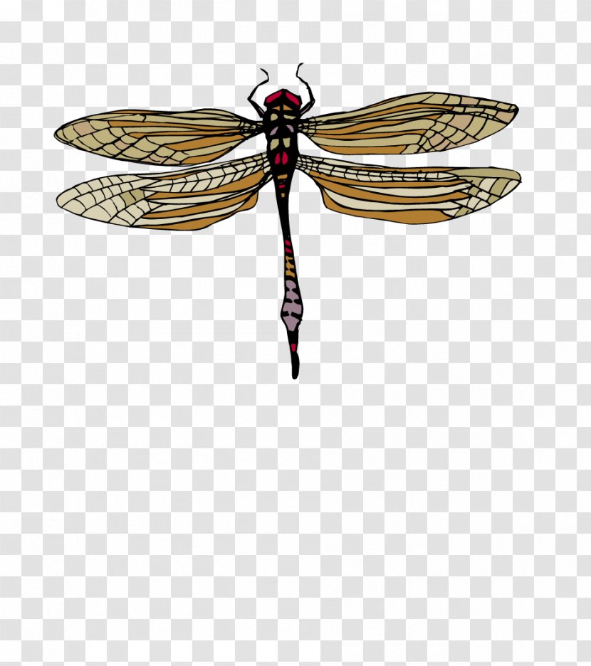 3D Computer Graphics Butterfly Insect - Wing - Cartoon Dragonfly Transparent PNG