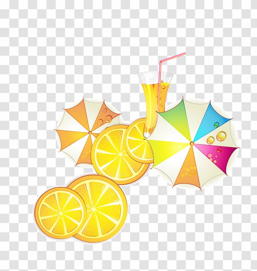 Watercolor Plant - Paint - Fruit Wheel Transparent PNG