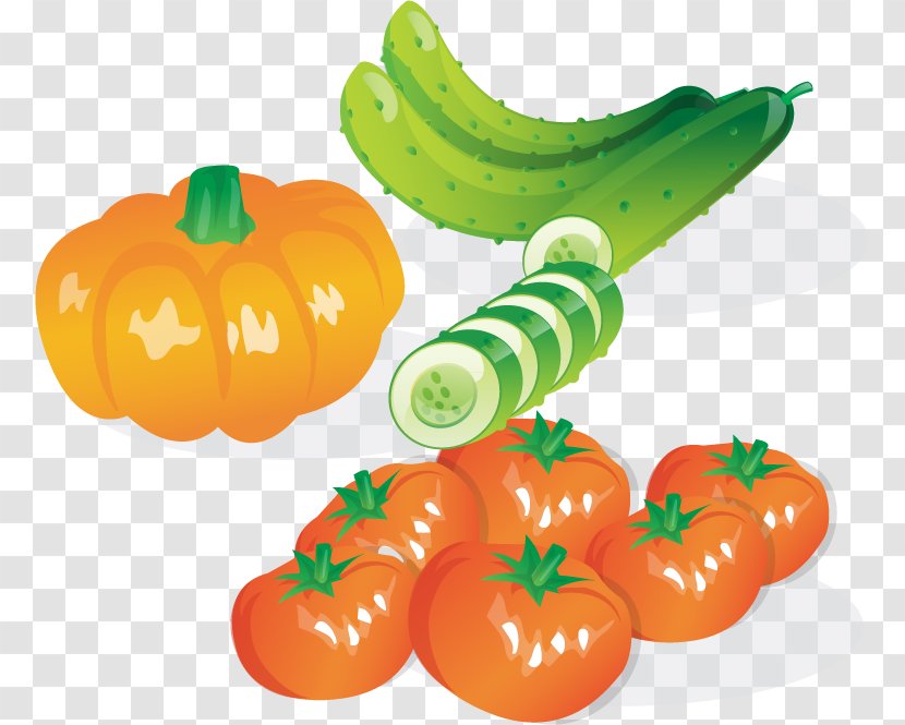 Leaf Vegetable Cucumber Salad - Fruit - Tomato Pumpkin Vector Material Transparent PNG