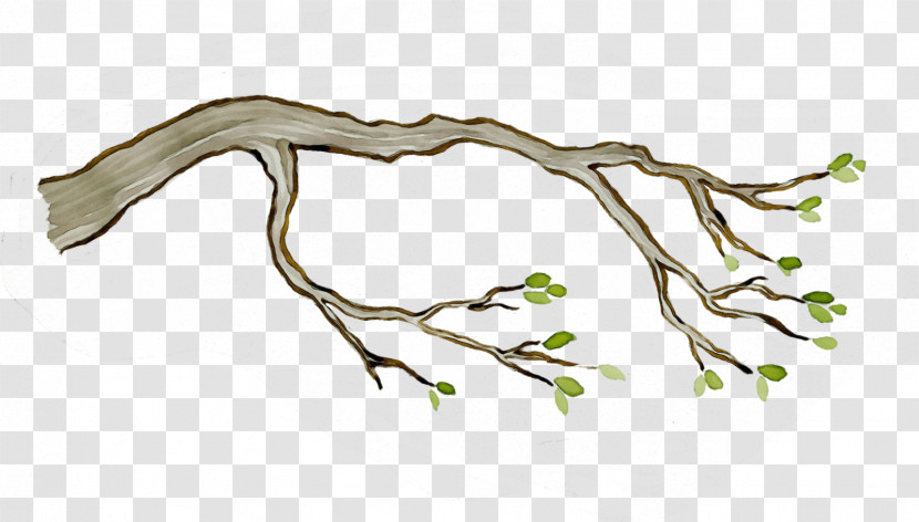 Branch Twig Tree Leaf Plant Transparent PNG