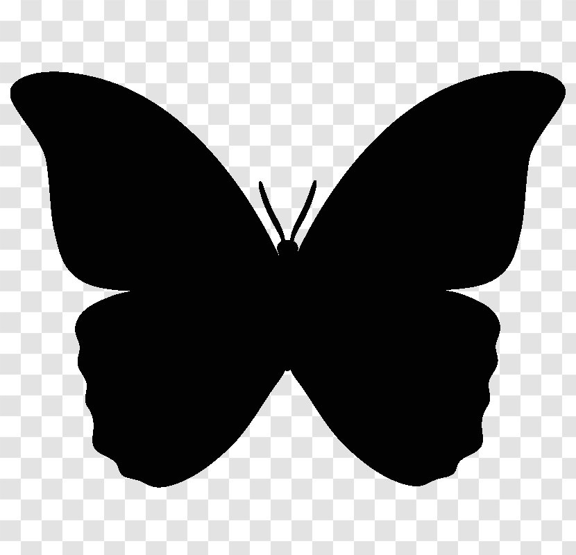 Butterfly Silhouette Clip Art - Brush Footed Transparent PNG