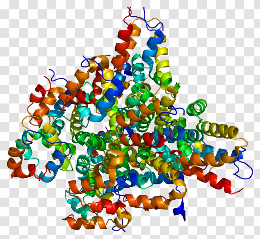 LRDD Death Domain Protein Human Gene - Cartoon - Flower Transparent PNG