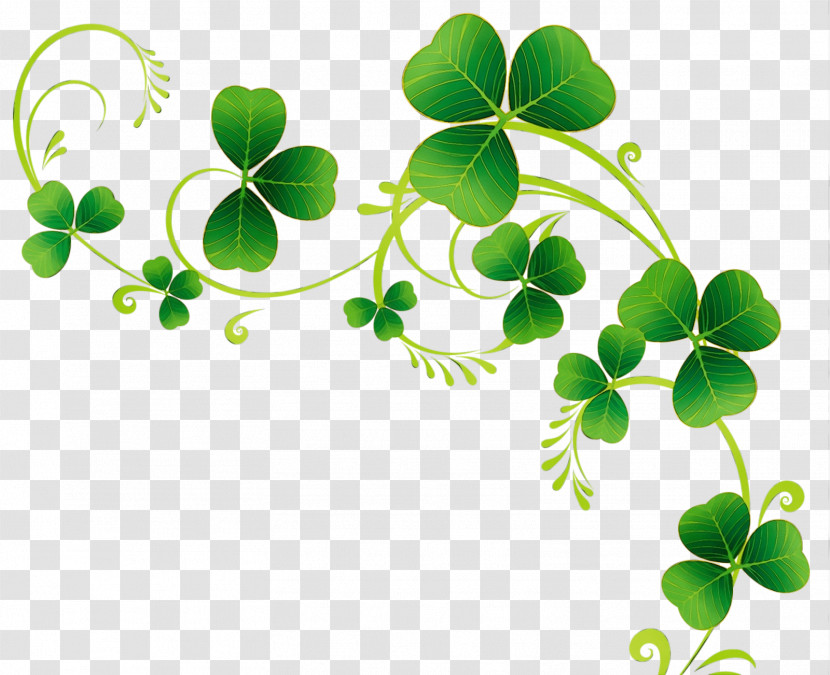 Leaf Plant Flower Symbol Clover Transparent PNG