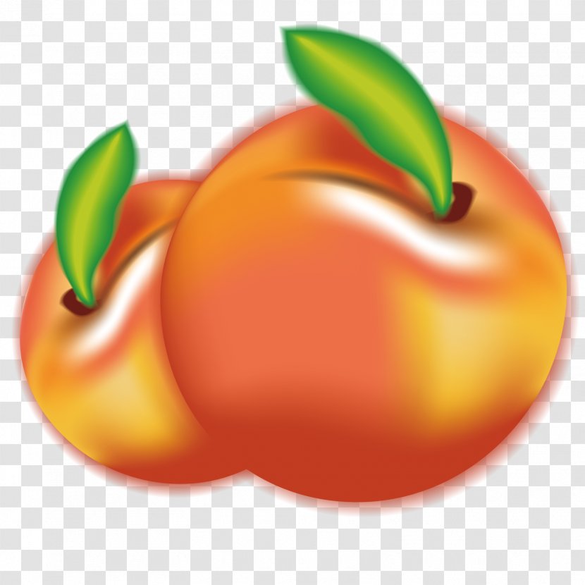 Peach Plum Fruit Euclidean Vector - Apple Transparent PNG