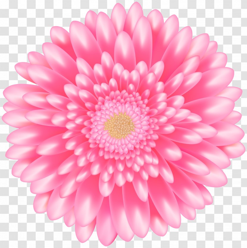 Flower Pink Gerbera Petal Barberton Daisy - Family - Cut Flowers Transparent PNG