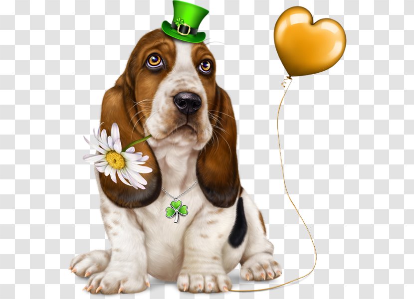 Dog Breed Basset Hound Artésien Normand Puppy Companion Transparent PNG