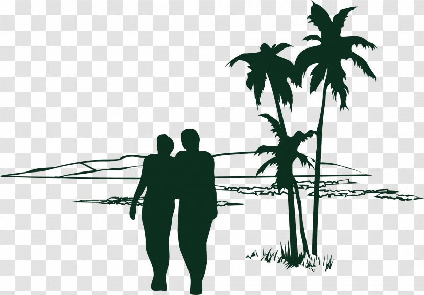 T-shirt Tree Coconut - Tshirt - Summer Beach Vector Silhouette Of Men And Women Transparent PNG