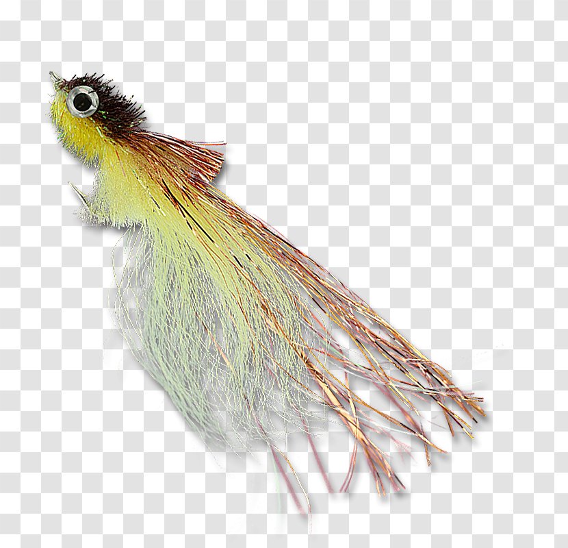 Minnow Copper The Fly Le Cancre Feather - Frame - Tarpon Flies Transparent PNG