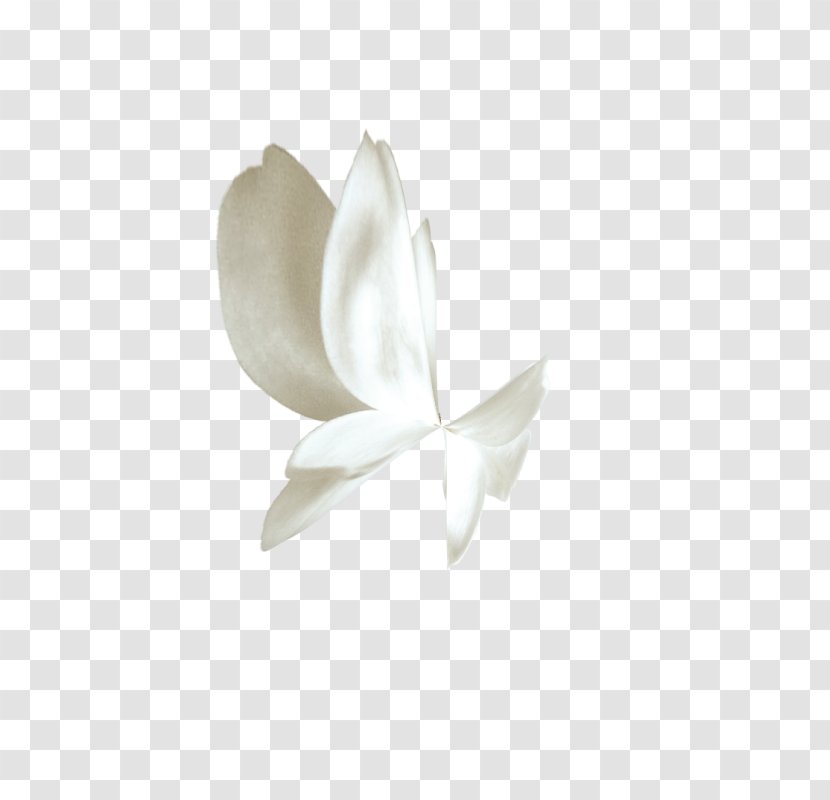 Butterfly White Gratis Transparent PNG