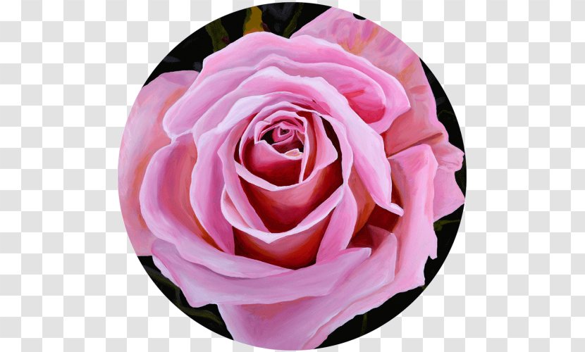 Garden Roses The Art Of Painting Oil - Flower - Rose Quartz Transparent PNG