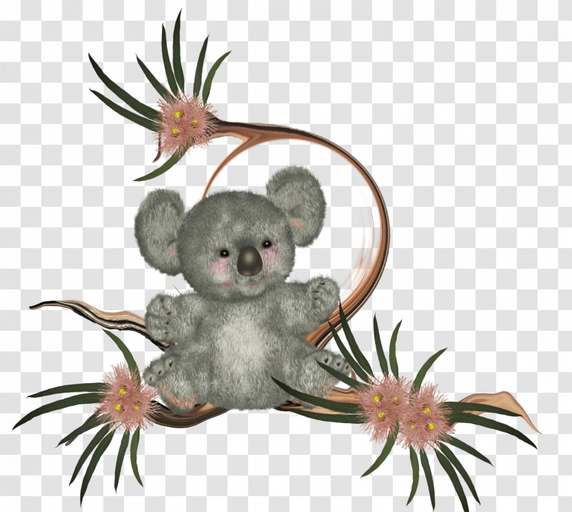 Koala Vertebrate Mouse Marsupial Mammal Transparent PNG