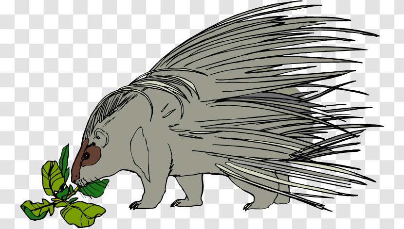Hedgehog Porcupine Free Content Royalty-free Clip Art - Wing - Cliparts Transparent PNG