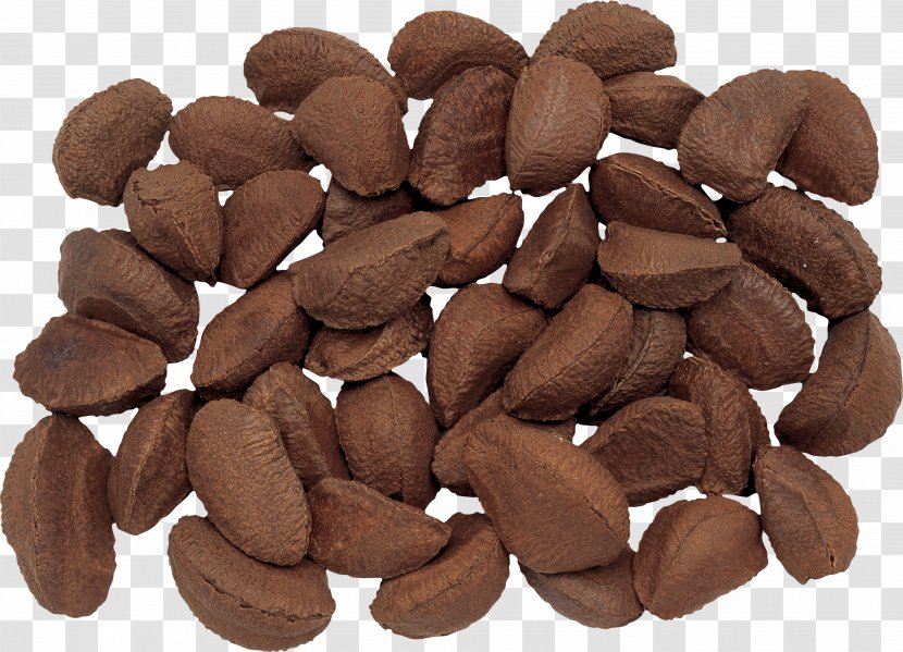 Brazil Nut Nutcracker Hazelnut Pecan - Chocolate Transparent PNG